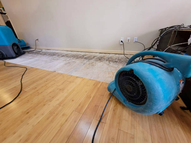 Reliable Basement Flood Cleanup contractor in Clearfield, UT by Hirex Water Damage