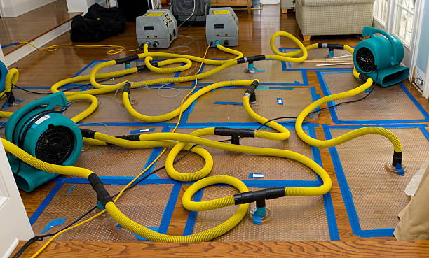 Professional Basement Flood Cleanup technician working in Clearfield, UT